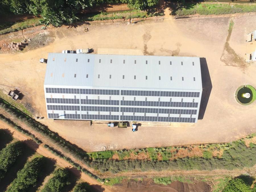 Building with solar panels surrounded by trees, representative image